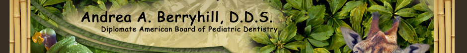 Pediatric Dentist - Fresno & Clovis, CA - Andrea A. Berryhill, D.D.S.